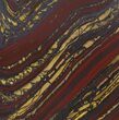 Tiger Iron Stromatolite Shower Tile - Billion Years Old #48810-1